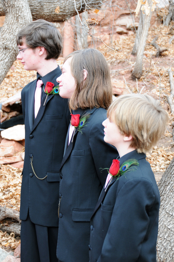 A Pikes Peak Wedding at Blue Skies Inn, Manitou Springs, Colorado