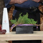 Spring Wedding at Pikes Peak Weddings, Manitou Springs, Colorado