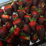 Spring Wedding at Pikes Peak Weddings, Manitou Springs, Colorado