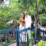 Summer Wedding an Outdoor Pikes Peak Wedding, Manitou Springs, Colorado