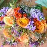 Summer Wedding an Outdoor Pikes Peak Wedding, Manitou Springs, Colorado