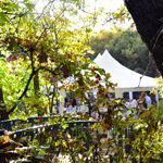 Colorado Fall Wedding an Outdoor Pikes Peak Wedding, Manitou Springs, Colorado