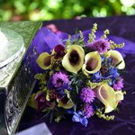 Summer Wedding an Outdoor Pikes Peak Wedding, Manitou Summers, Colorado