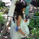 Summer Wedding an Outdoor Pikes Peak Wedding, Manitou Springs, Colorado