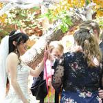 Spring Wedding an Outdoor Pikes Peak Wedding, Manitou Springs, Colorado