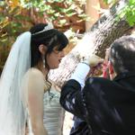 Spring Wedding an Outdoor Pikes Peak Wedding, Manitou Springs, Colorado