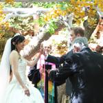 Spring Wedding an Outdoor Pikes Peak Wedding, Manitou Springs, Colorado