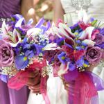 Spring Wedding an Outdoor Pikes Peak Wedding, Manitou Springs, Colorado