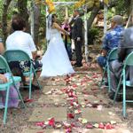 Spring Wedding an Outdoor Pikes Peak Wedding, Manitou Springs, Colorado