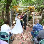Spring Wedding an Outdoor Pikes Peak Wedding, Manitou Springs, Colorado