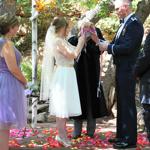 Summer Wedding an Outdoor Pikes Peak Wedding, Manitou Springs, Colorado
