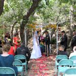 Summer Wedding an Outdoor Pikes Peak Wedding, Manitou Springs, Colorado