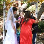 Summer Wedding an Outdoor Pikes Peak Wedding, Manitou Springs, Colorado