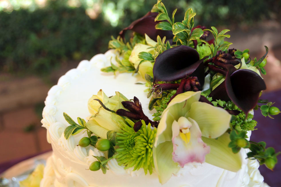 Mallory & Kyle's Weddings in Manitou Springs, Colorado