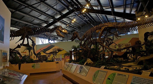 Rocky Mountain Dinosaur Resource Center