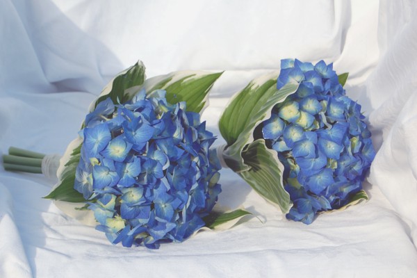 Cancelling Wedding Package by Pikes Peak, Rocky Mountains, Colorado